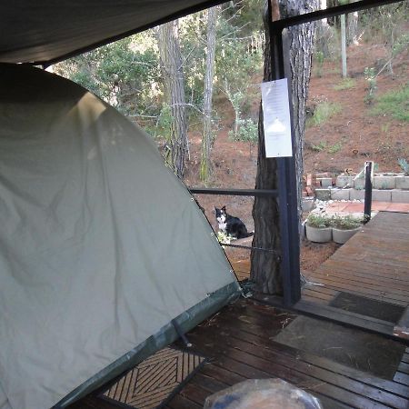 Eagles' Call Cottages And Tent Wildernis Exterior foto