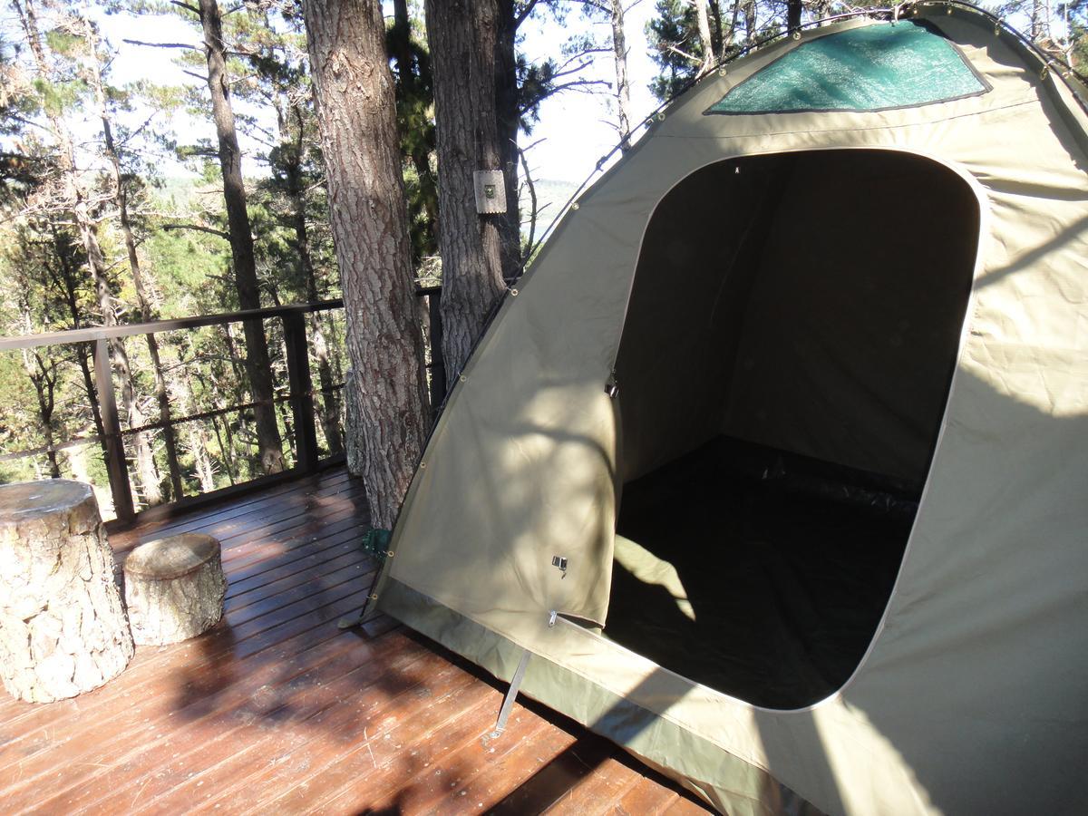 Eagles' Call Cottages And Tent Wildernis Exterior foto