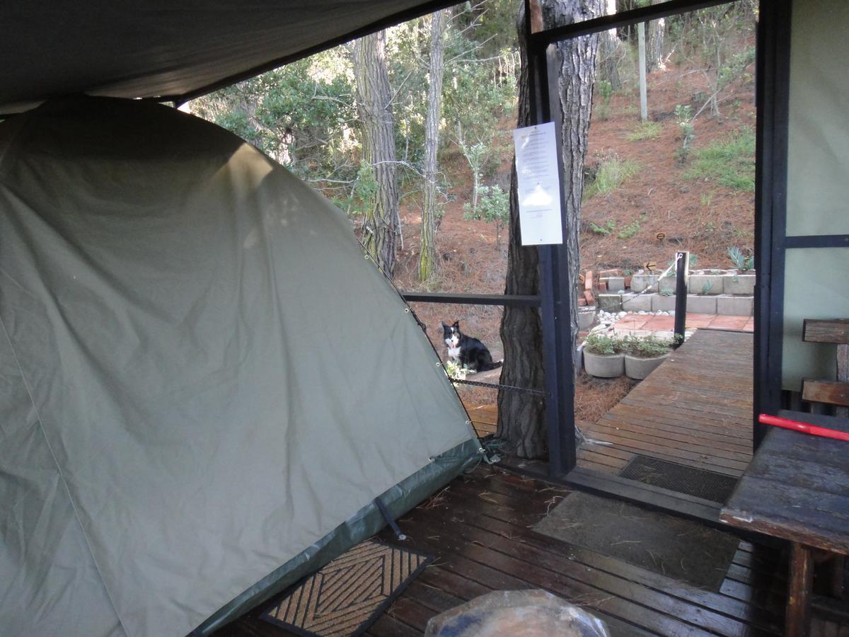 Eagles' Call Cottages And Tent Wildernis Exterior foto