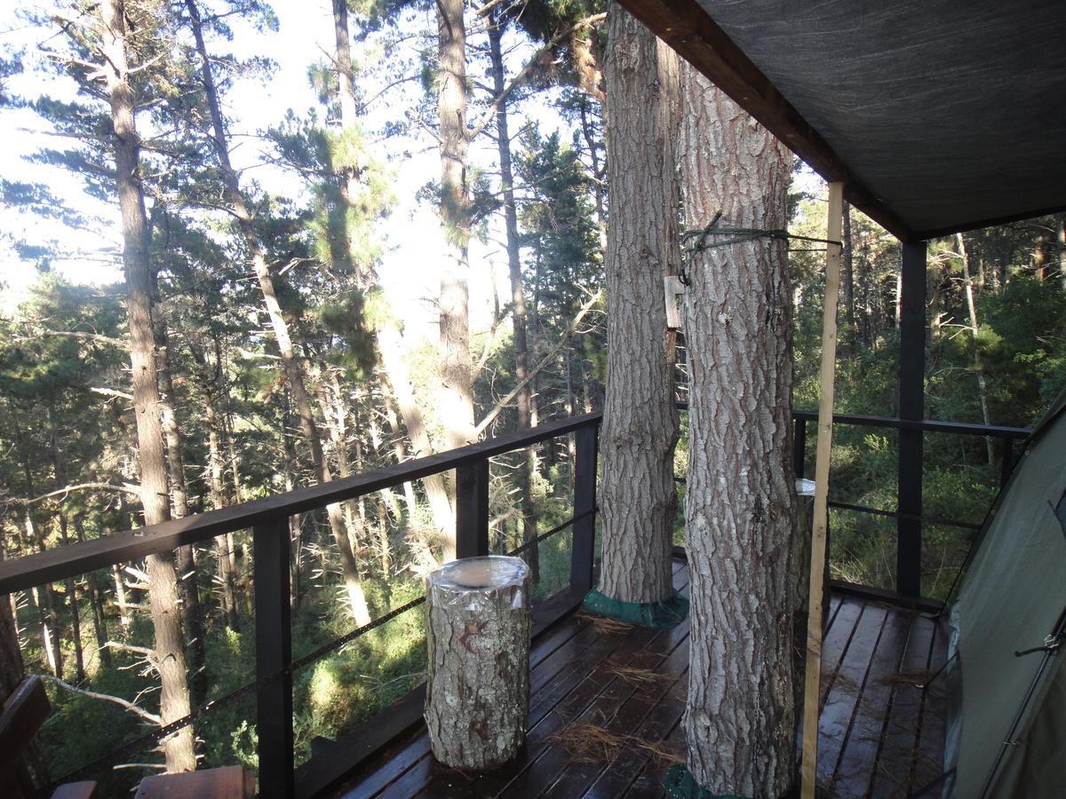 Eagles' Call Cottages And Tent Wildernis Exterior foto