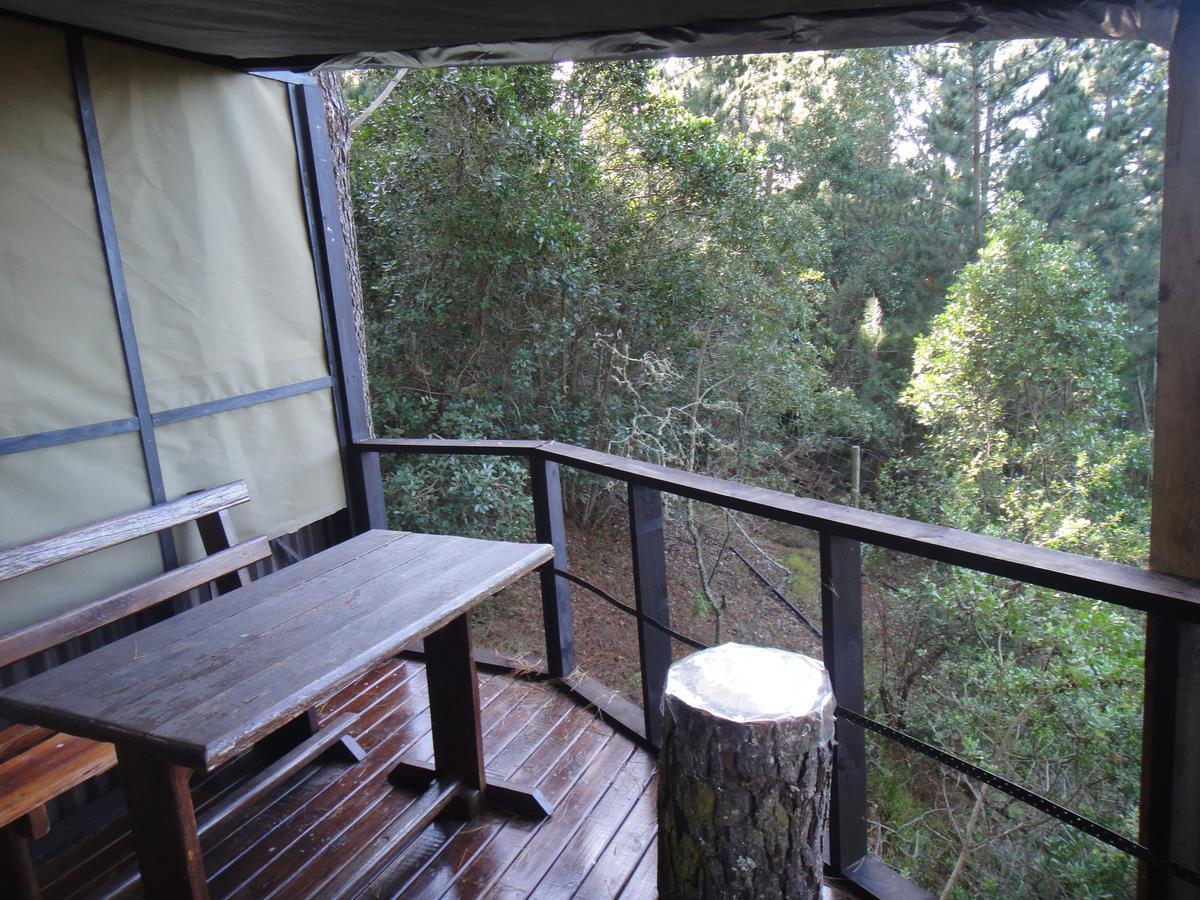 Eagles' Call Cottages And Tent Wildernis Exterior foto